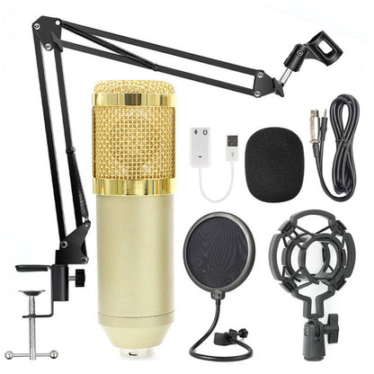 Microphone Professional Voice Recording