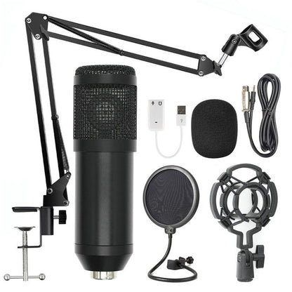 Microphone Professional Voice Recording