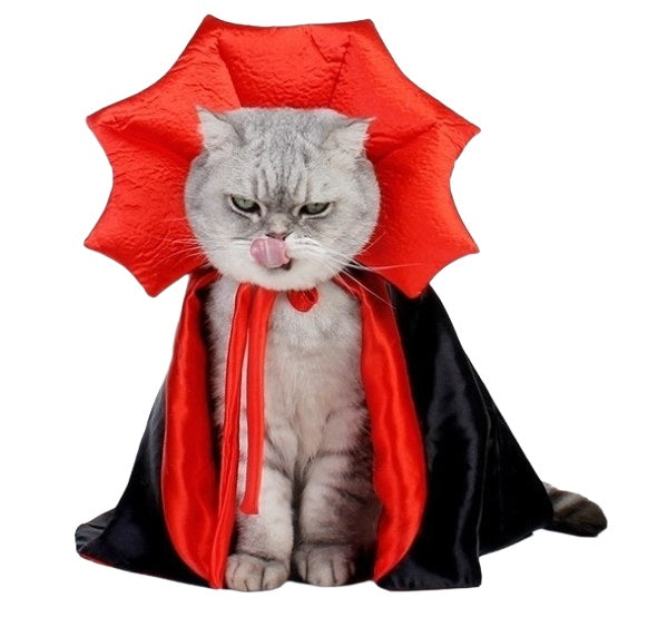 Halloween Vampire Cat Costume